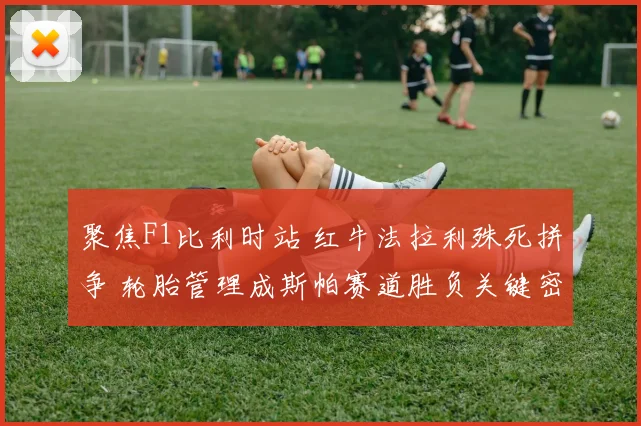 聚焦F1比利时站 红牛法拉利殊死拼争 轮胎管理成斯帕赛道胜负关键密码